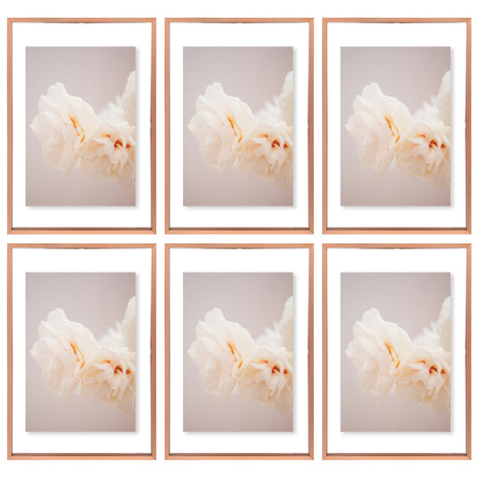 Clearance 12x18 Aluminum Floating Frame Rose Gold (6 Pcs Per Box)