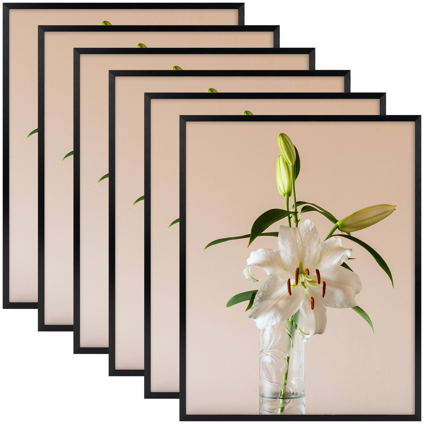 Clearance 14x18 Aluminum Picture Frame with Plexiglass (6 Pcs Per Box) Black