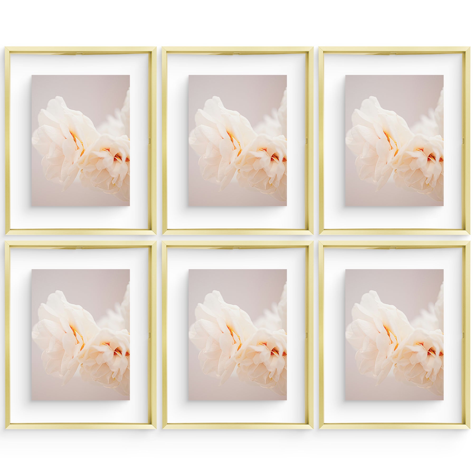 11x14 Floating Frame For Any Size Photo up to 11 by 14 (6 Pcs Per Box) Gold
