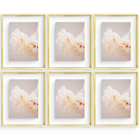 11x14 Floating Frame For Any Size Photo up to 11 by 14 (6 Pcs Per Box) Gold