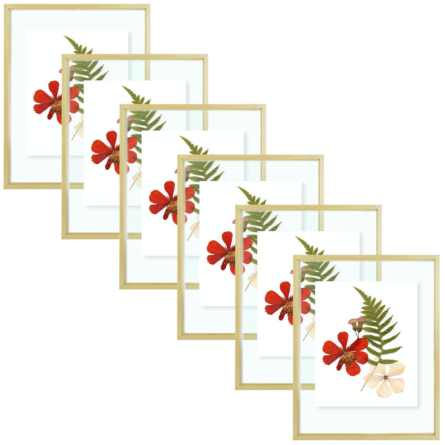 Pack of 6, 11x14 Gold Aluminum Frames Floating Frame for photo size up to 11 by 14