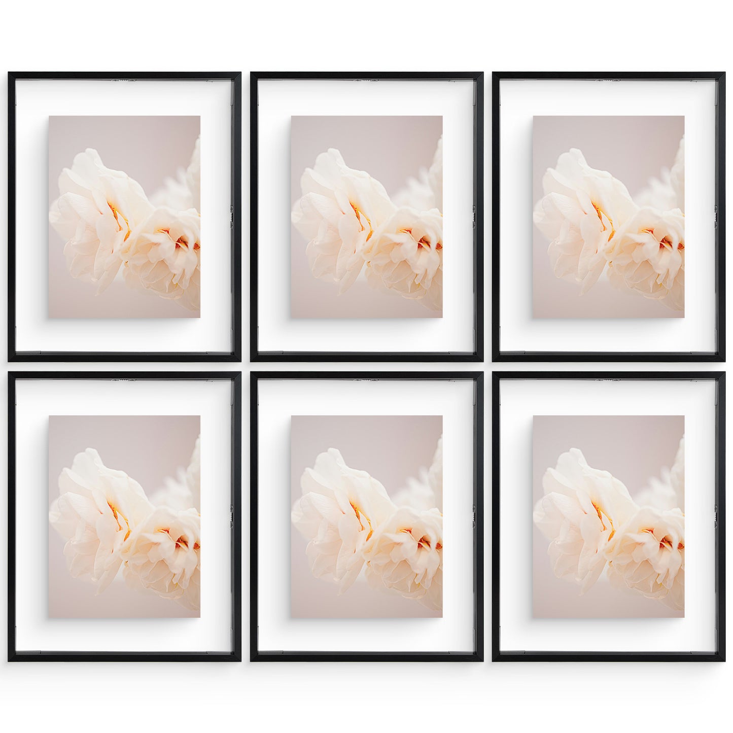 11x14 Floating Frame For Any Size Photo up to 11 by 14 (6 Pcs Per Box) Black