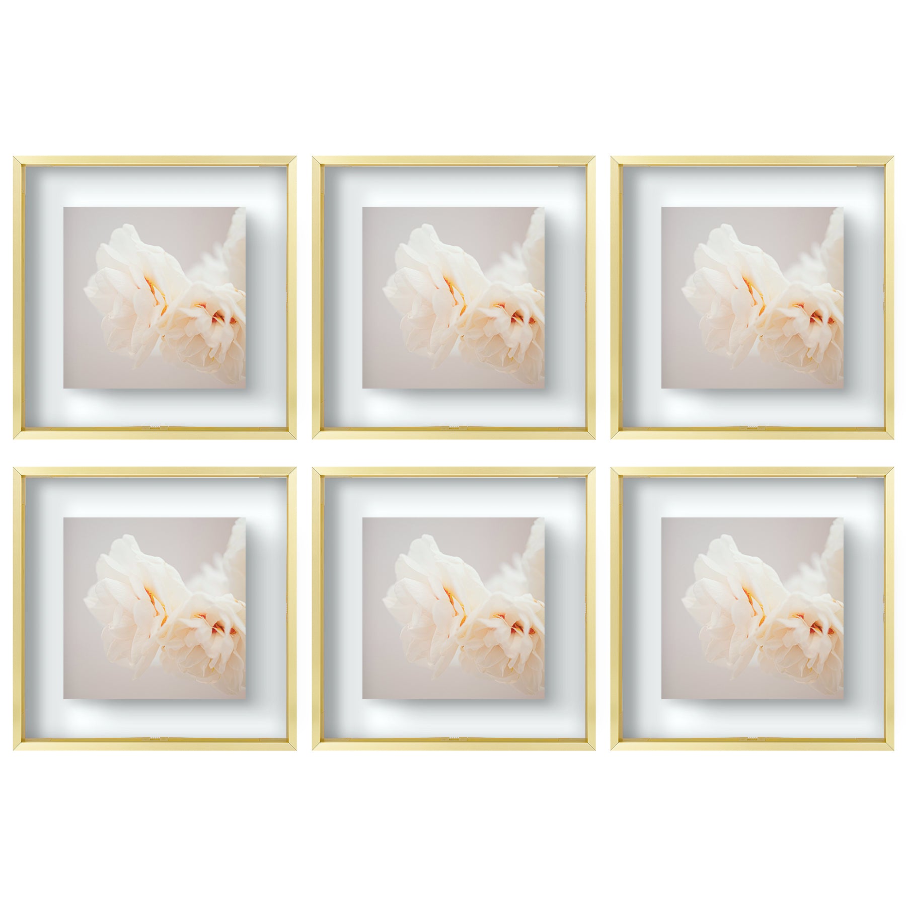 12x12 Floating Frame Displays Any Size Photo up to 12 by 12 (6 Pcs Per Box) Gold