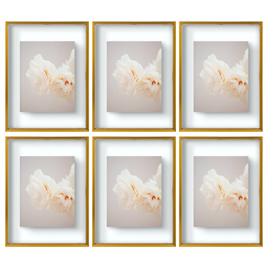 12x16 Floating Frame Displays Any Size Photo up to 12 by 16 (6 Pcs Per Box)