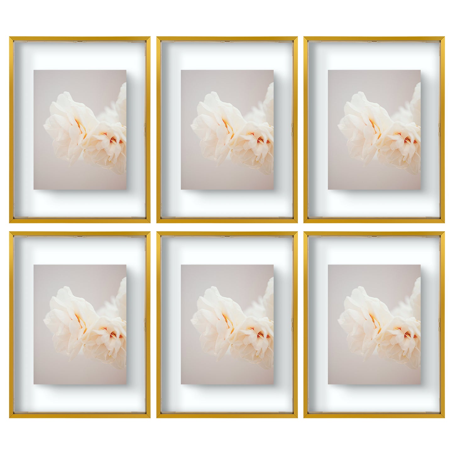 12x16 Floating Frame Displays Any Size Photo up to 12 by 16 (6 Pcs Per Box)
