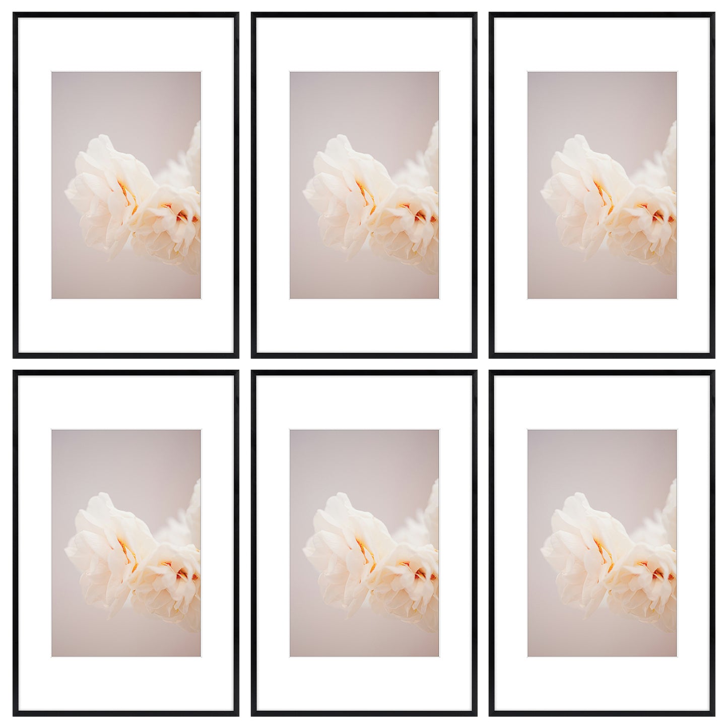 11x17 Aluminum Picture Frame with White Mat for 8x12 Photo (6 Pcs Per Box) Black