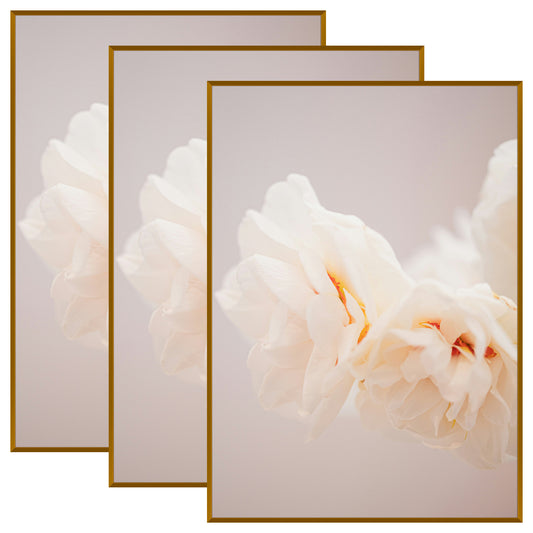 A1 Metal Picture Frame for 23.4x33.1 Picture with Plexiglass(3 Pcs Per Box)