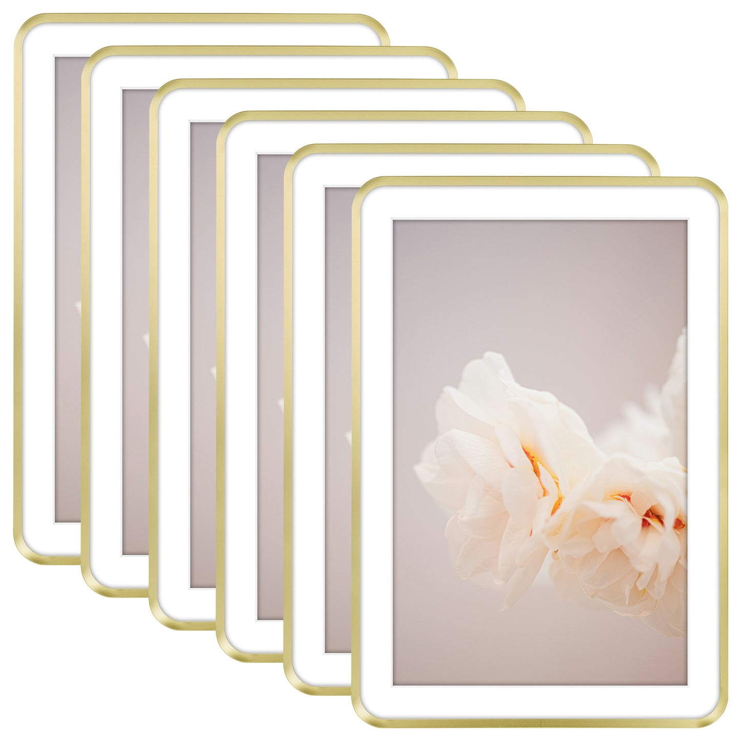 13x19 Round Corner Aluminum Picture Frame with White Mat for 11x17 Picture(6 Pcs Per Box) Gold