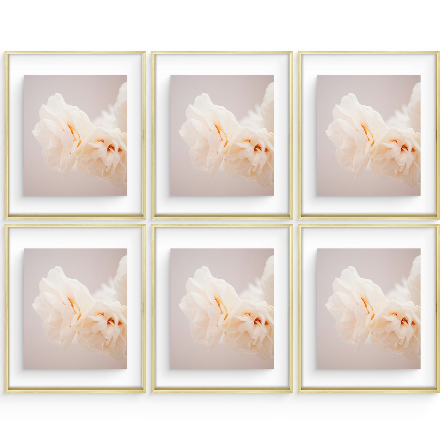 16x20 Floating Frame For Any Size Photo Up to 16 by 20 (6 Pcs Per Box) Gold