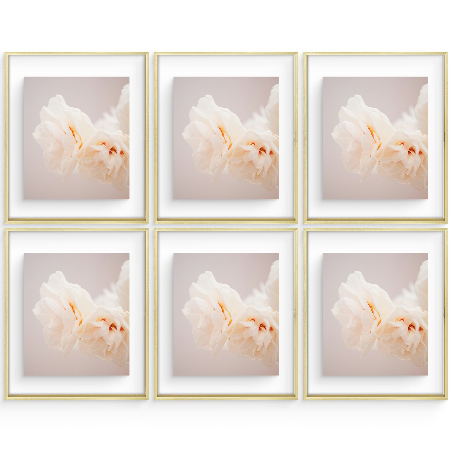 16x20 Floating Frame For Any Size Photo Up to 16 by 20 (6 Pcs Per Box) Gold