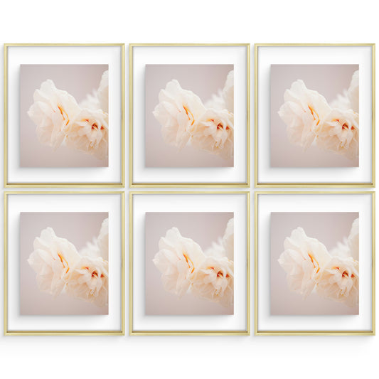 16x20 Floating Frame For Any Size Photo Up to 16 by 20 (6 Pcs Per Box) Gold