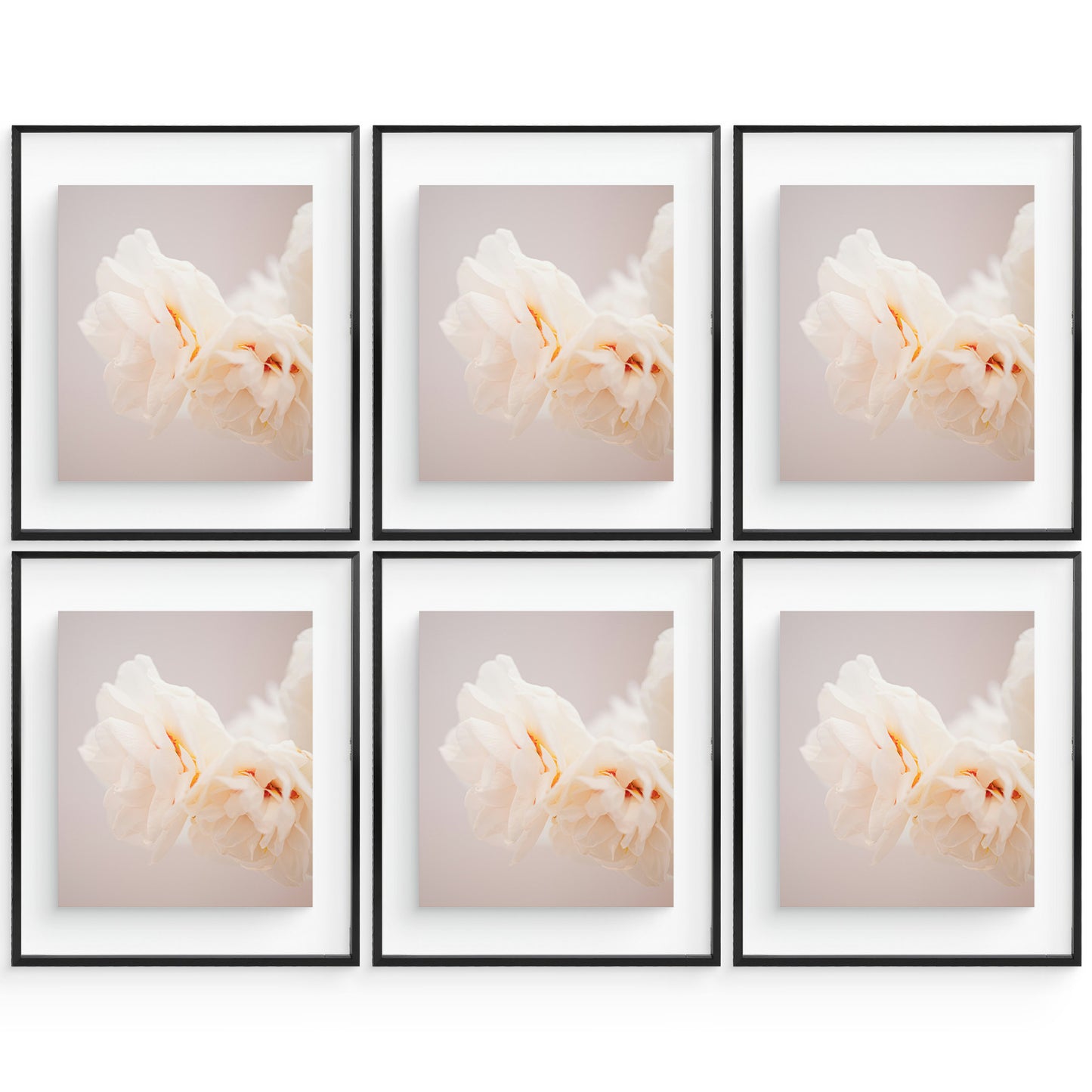 16x20 Floating Frame For Any Size Photo Up to 16 by 20 (6 Pcs Per Box) Black