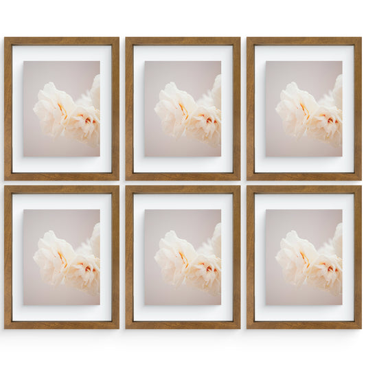 11x14 Floating Frame (6 Pcs Per Box)