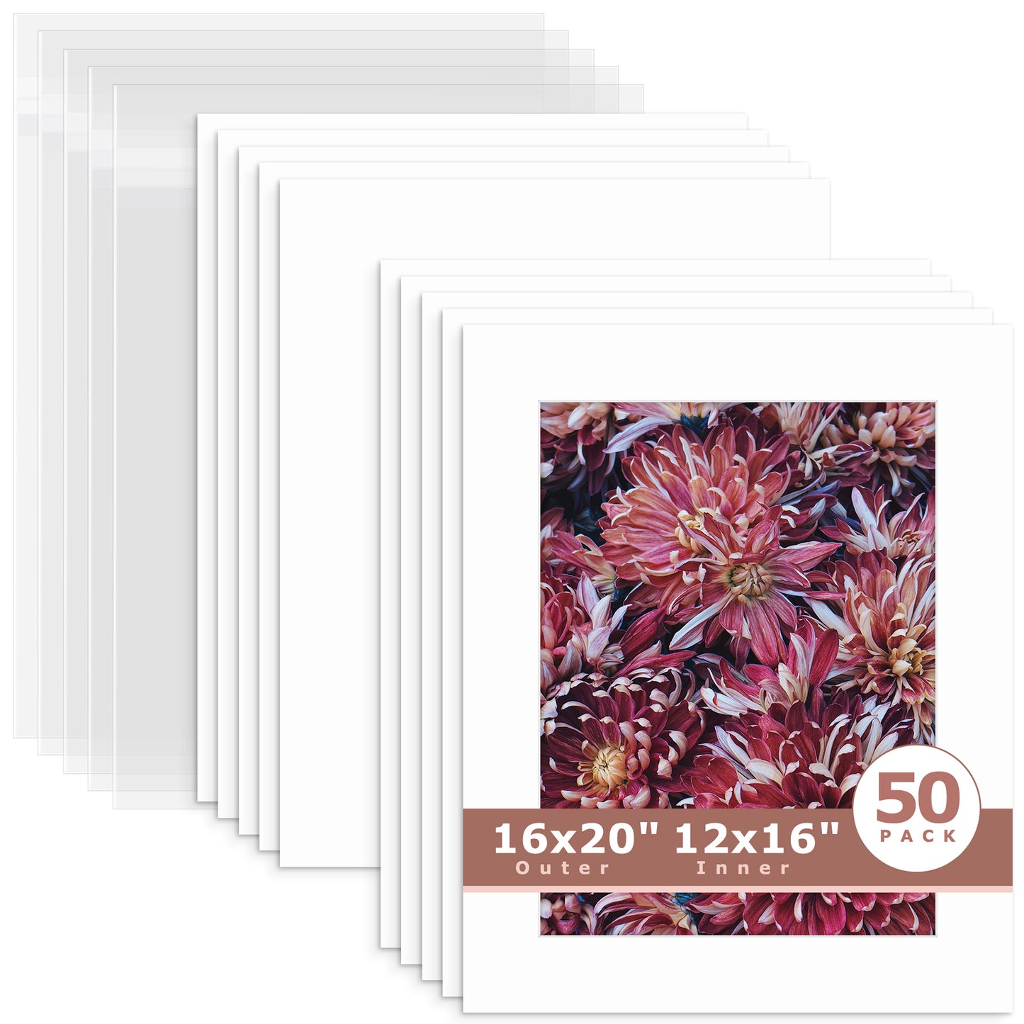 50 Pack 16x20 Whitecore Economy Pre-Cut Mat + Backing + Bag 12x16 (exact opening 11.5x15.5) N501 White