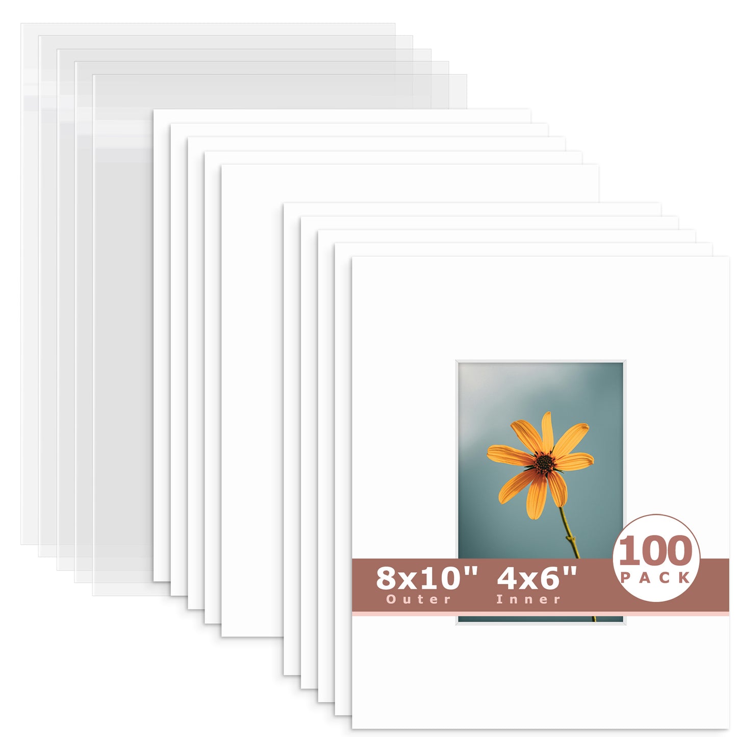 100 Pack 8x10 Whitecore Economy Pre-Cut Mat Board + Backing + Bag 4x6 (3.5x5.5 exact opening) N501 White