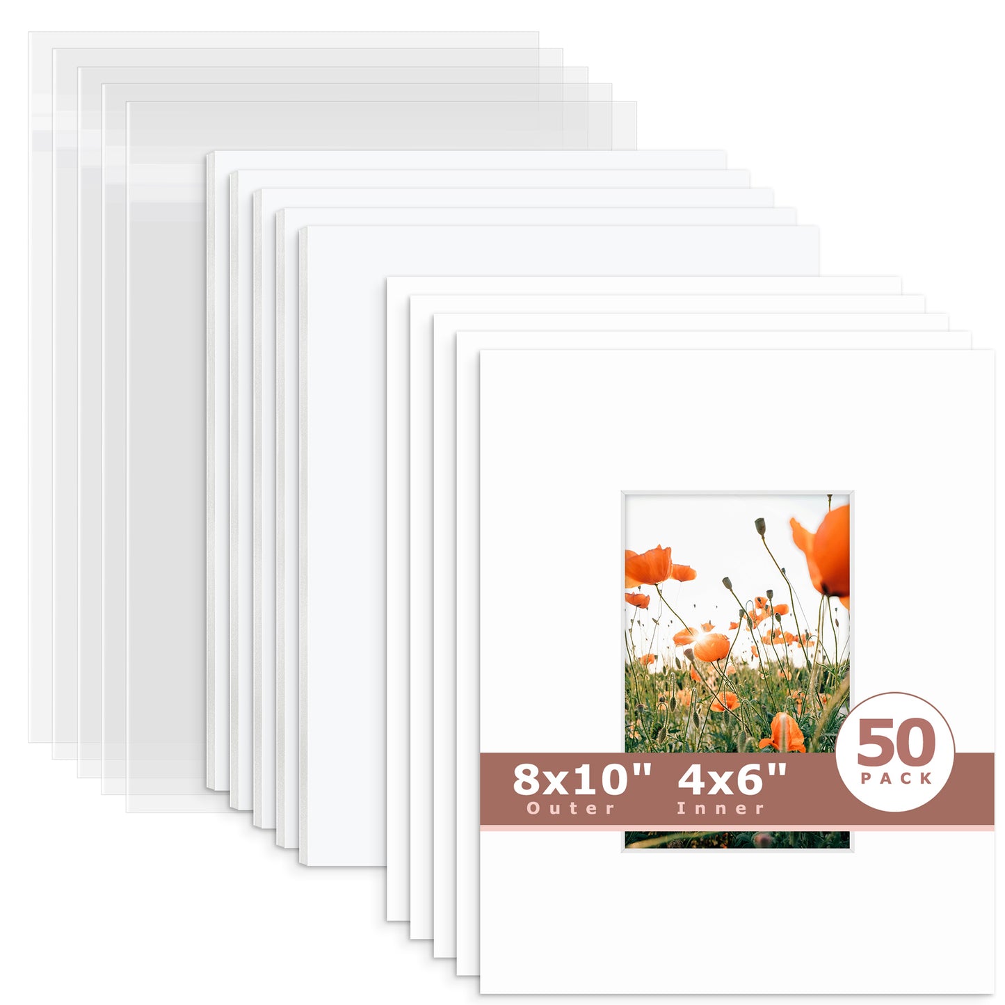 50 Pack 8x10 Economy Pre-Cut Mat Board + White Foam Board + Bag 4x6 (3.5x5.5 exact opening) N501 White