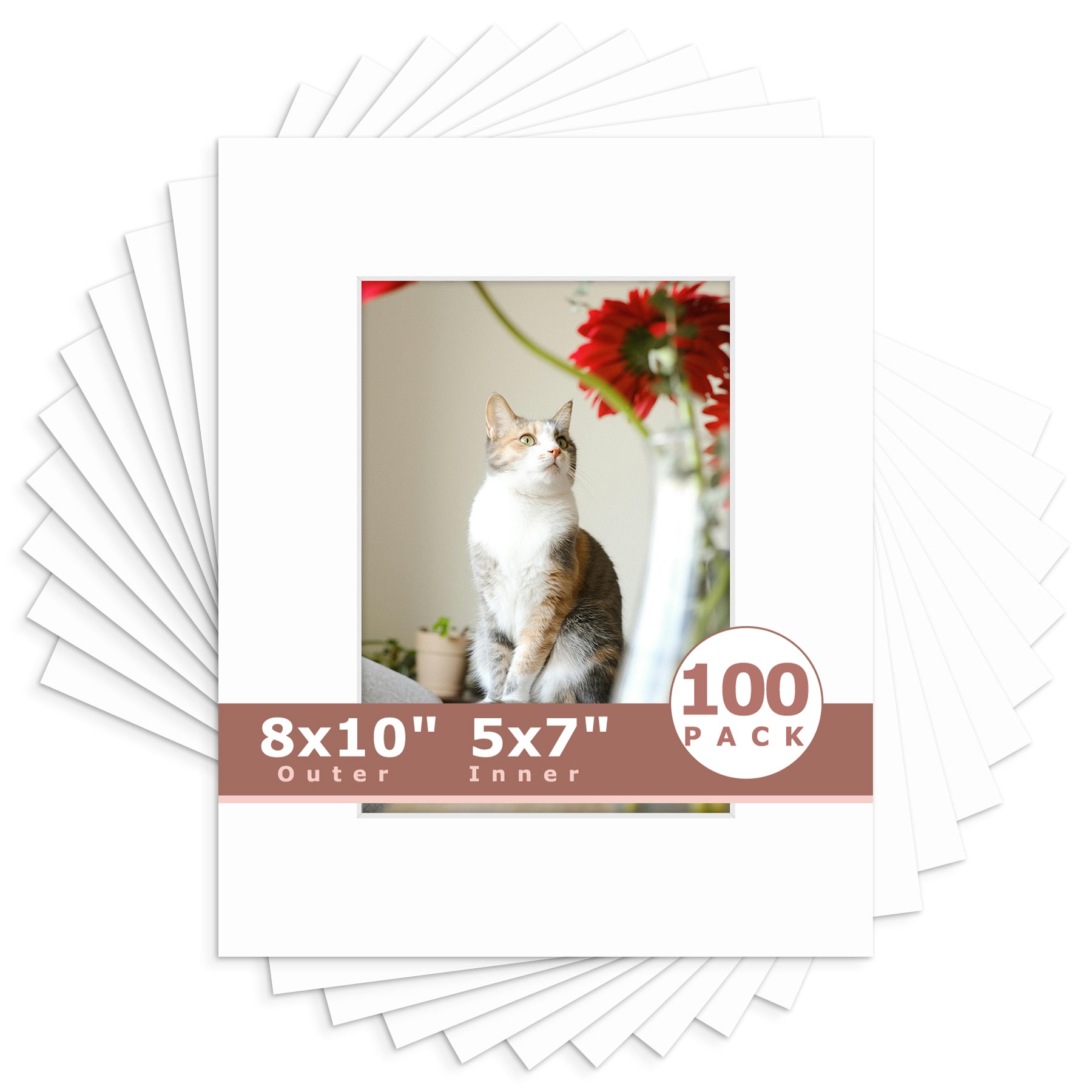 8x10 Economy Pre-Cut Mat Board-Pack of 100