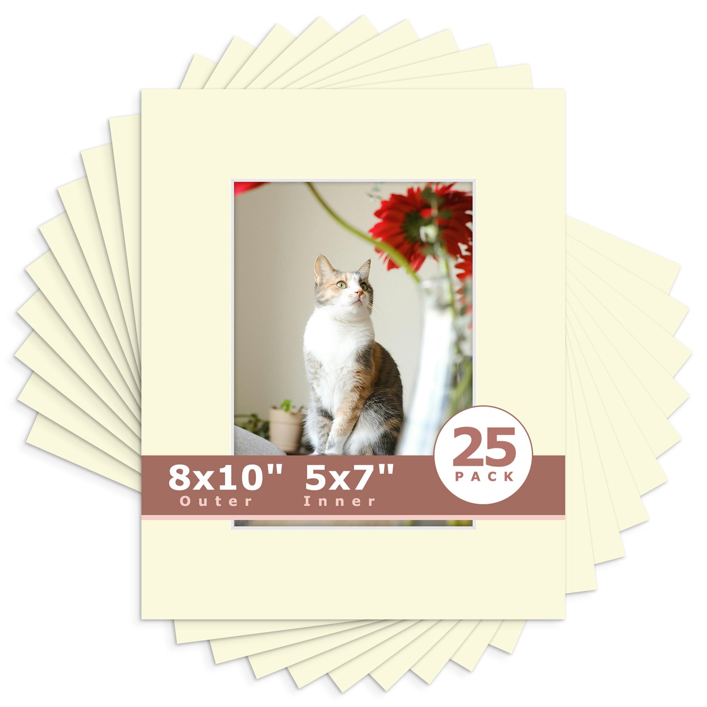 8x10 Economy Pre-Cut Mat Board-Pack of 25 5x7 (4.5x6.5 exact opening) N105 Ivory