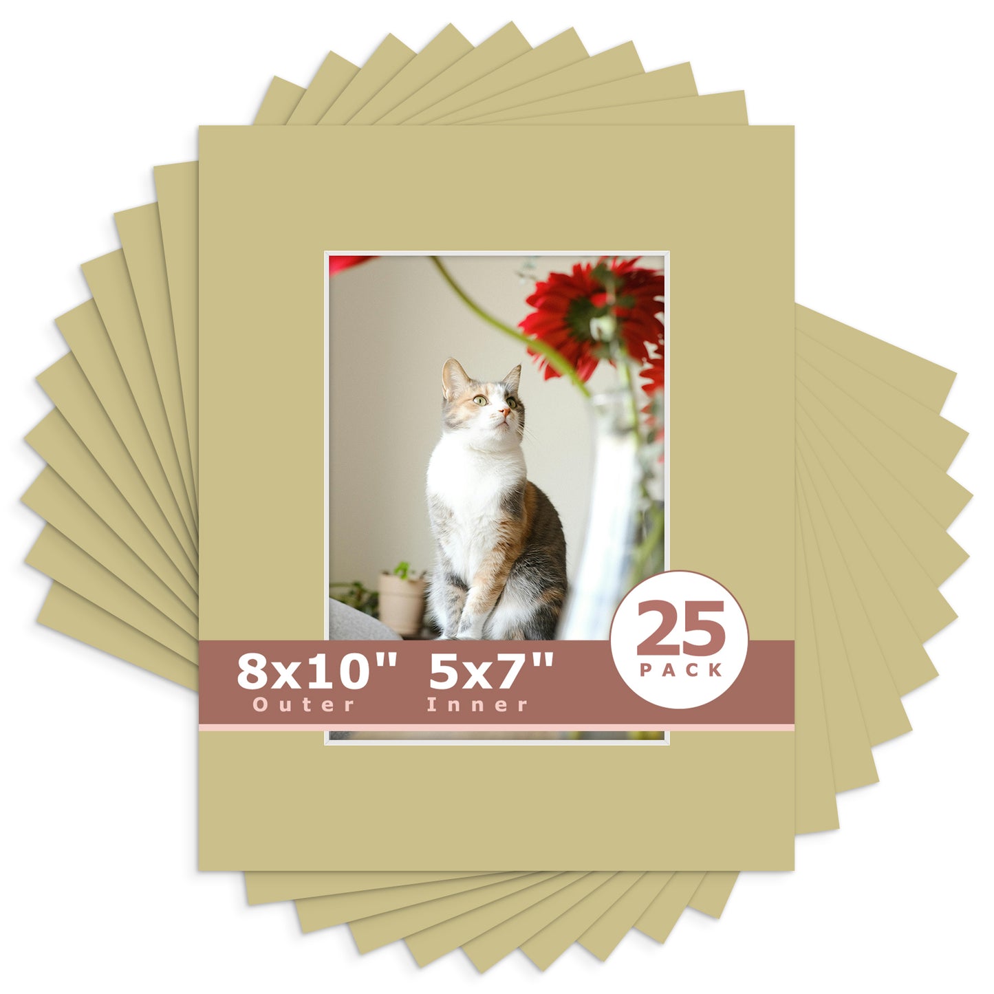 8x10 Economy Pre-Cut Mat Board-Pack of 25 5x7 (4.5x6.5 exact opening) N126 Mexican Stone