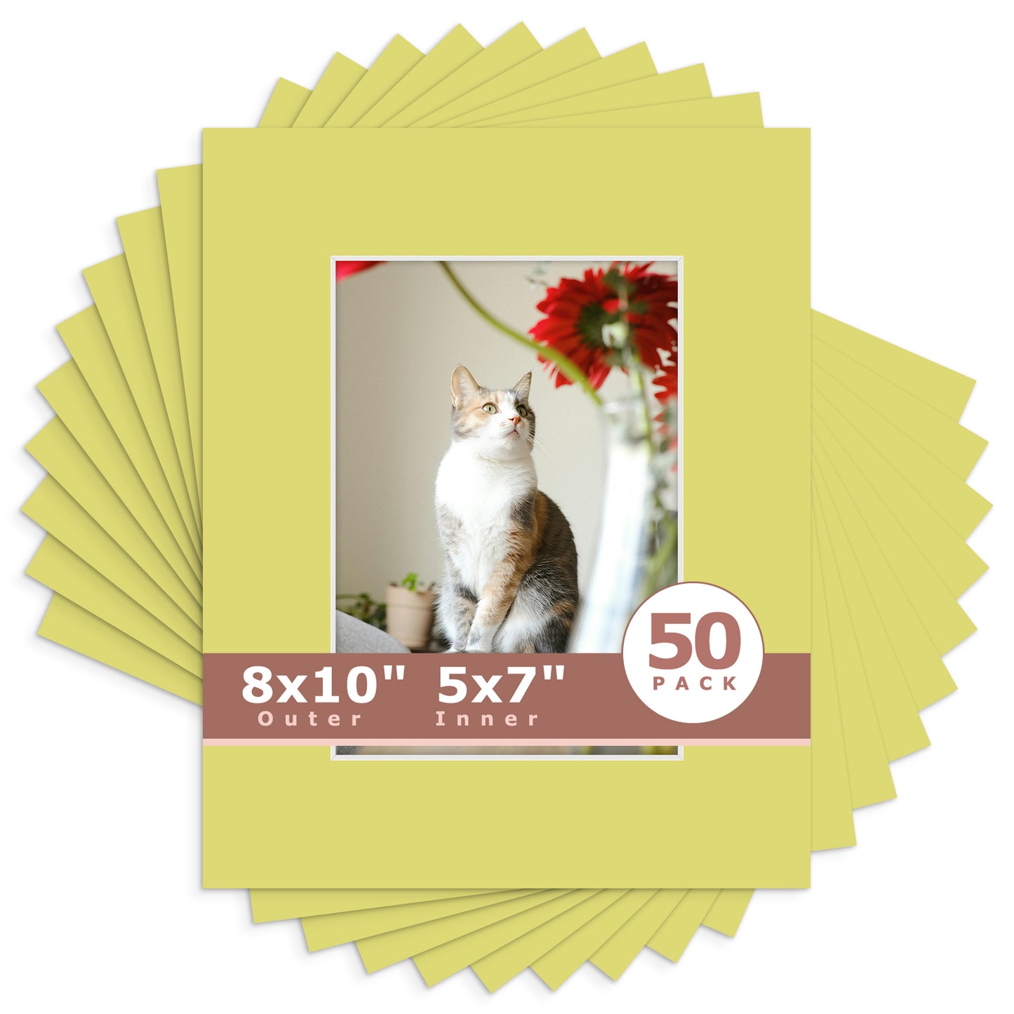 8x10 Economy Pre-Cut Mat Board-Pack of 50 5x7 (4.5x6.5 exact opening) N127 Frolic