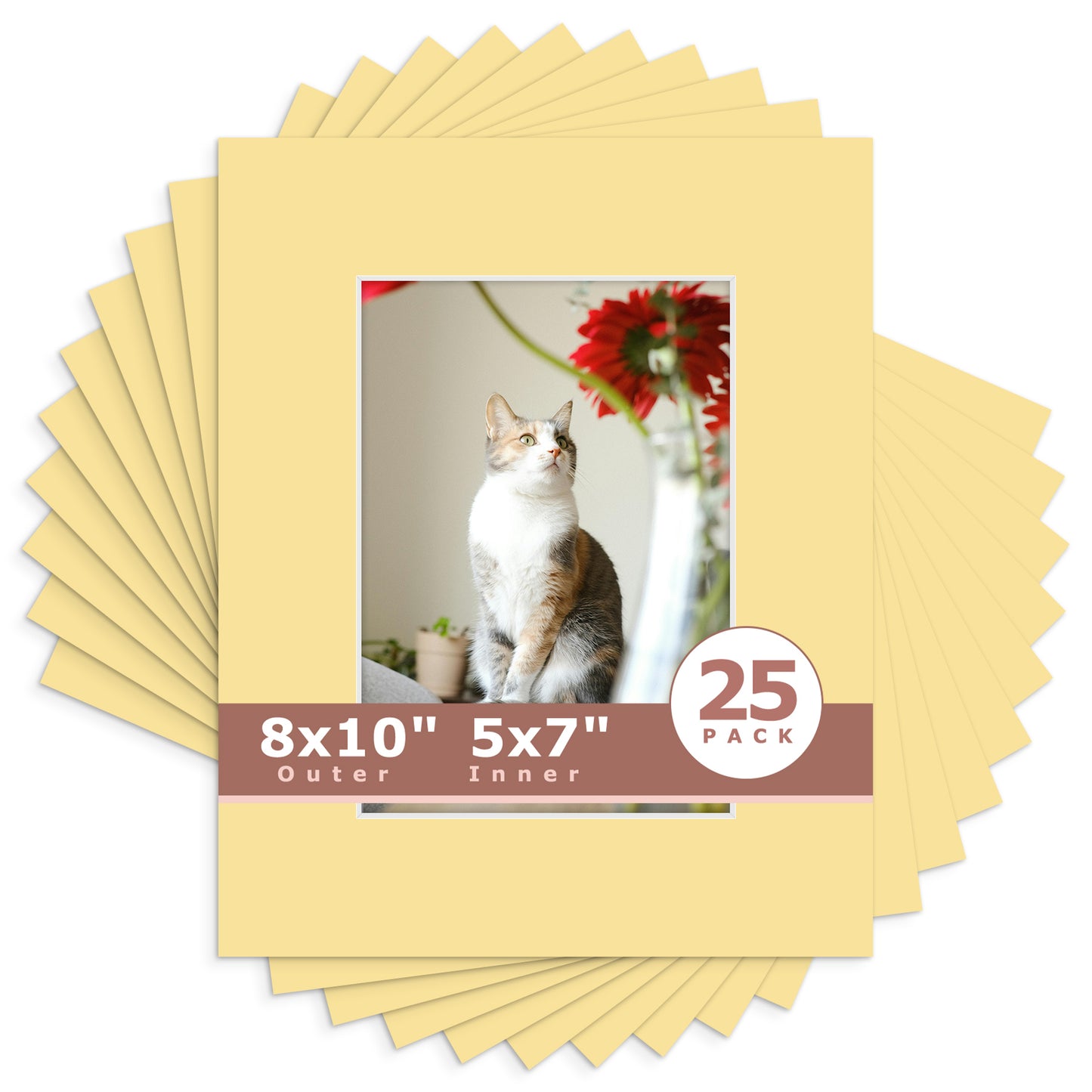8x10 Economy Pre-Cut Mat Board-Pack of 25 5x7 (4.5x6.5 exact opening) N157 Compatible Beige