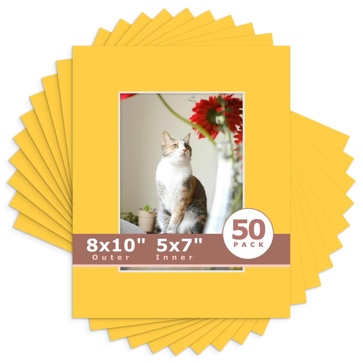 8x10 Economy Pre-Cut Mat Board-Pack of 50 5x7 (4.5x6.5 exact opening) N212 Deep Yellow