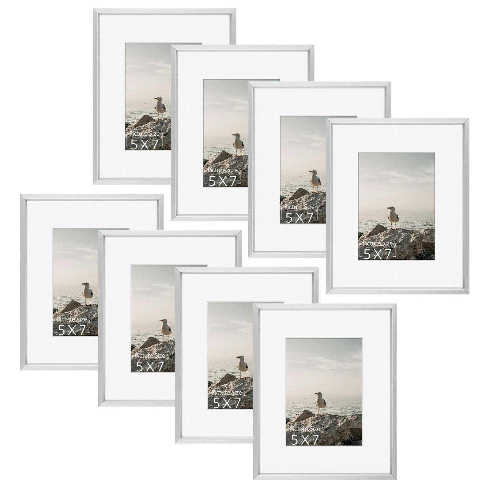 8x10 Aluminum Frame for 5x7 Picture (8 Pcs per Box) Silver