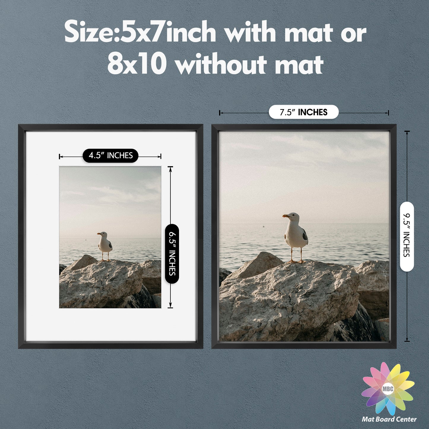 8x10 Aluminum Frame for 5x7 Picture (8 Pcs per Box)