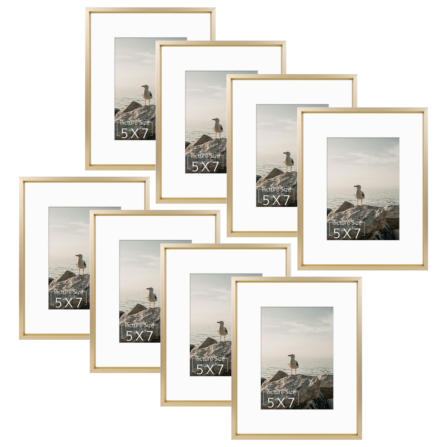 8x10 Aluminum Frame for 5x7 Picture (8 Pcs per Box) Gold