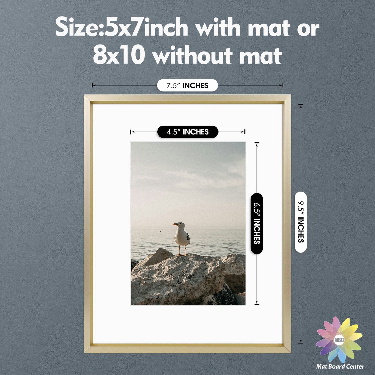 8x10 Aluminum Frame for 5x7 Picture (8 Pcs per Box)