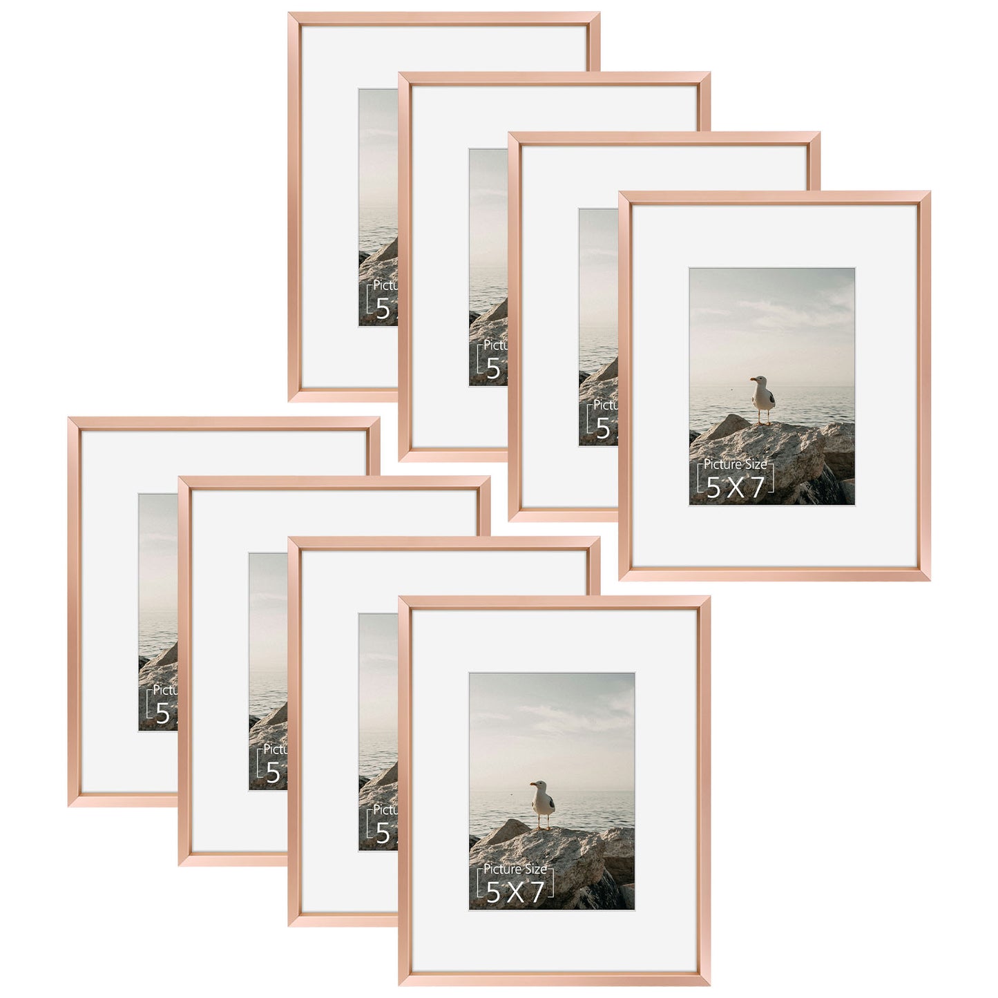 8x10 Aluminum Frame for 5x7 Picture (8 Pcs per Box) Rose Gold