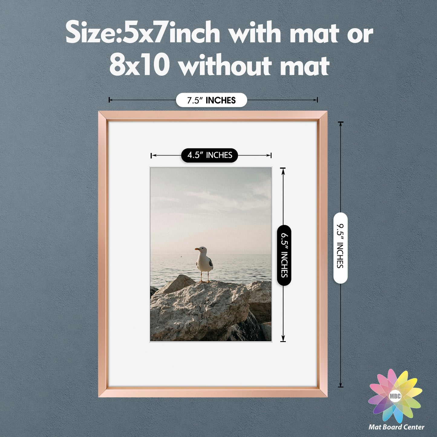 8x10 Aluminum Frame for 5x7 Picture (8 Pcs per Box)