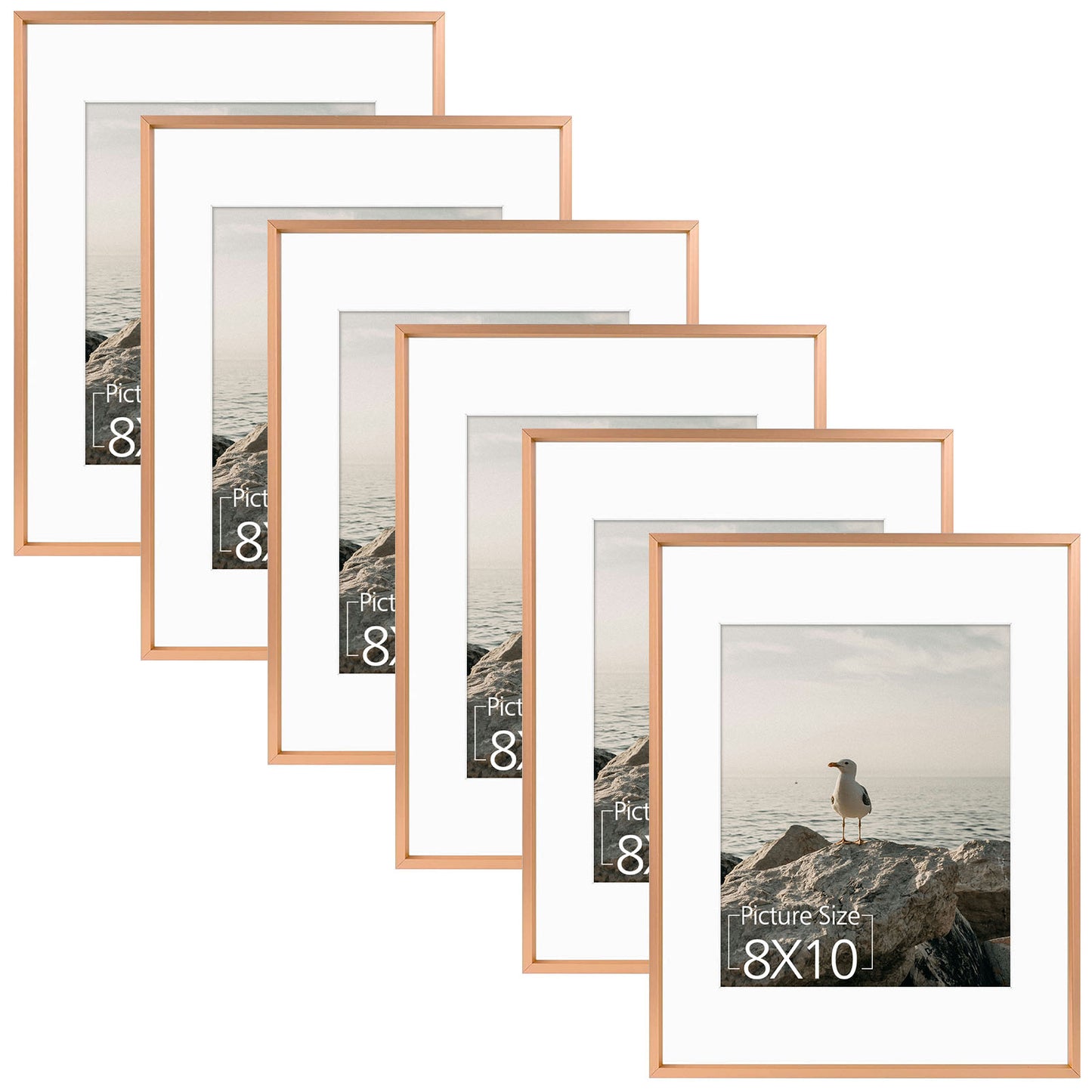 11x14 Aluminum Frame for 8x10 Picture Satin Finish (6 Pcs per Box) Rose Gold