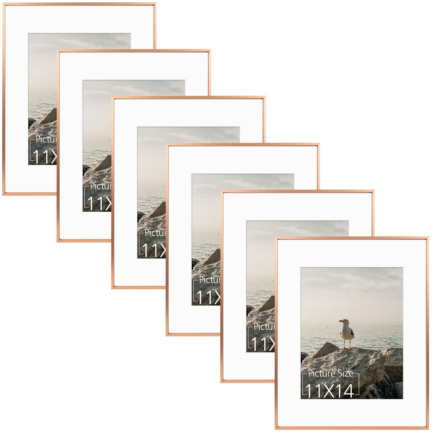 16x20 Aluminum Frame for 11x14 Picture (6 Pcs per Box) Rose Gold