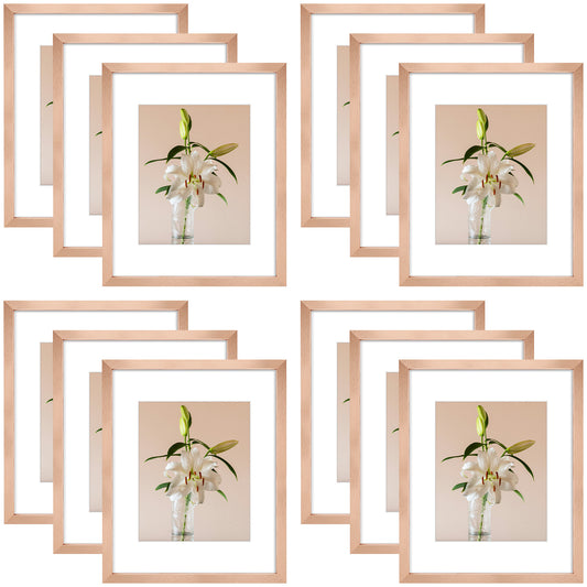 Clearance 16x20 Picture Frames with 11x14 Photo with White Mat and Plexiglass 12 Pack