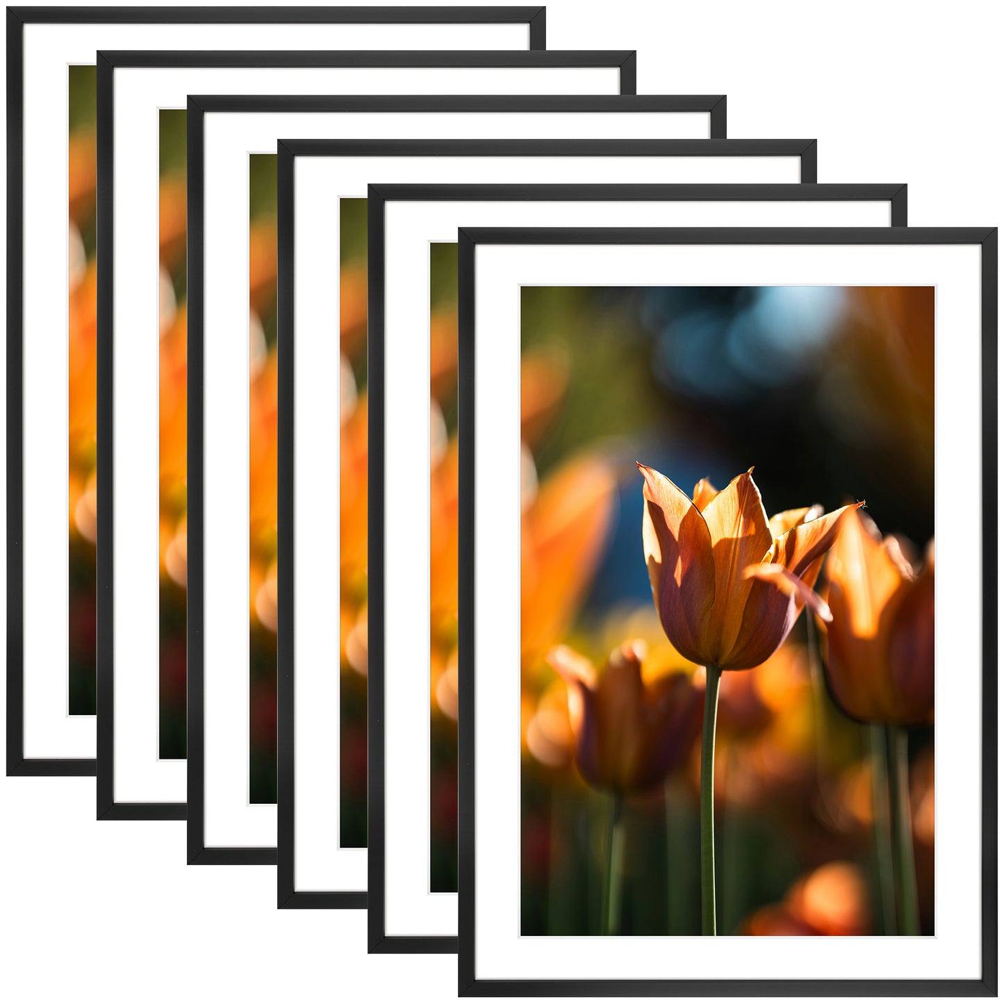 13x19 Picture Frame For 11x17 Photo With White Mat and Plexiglass (6 Pcs per Box) Black