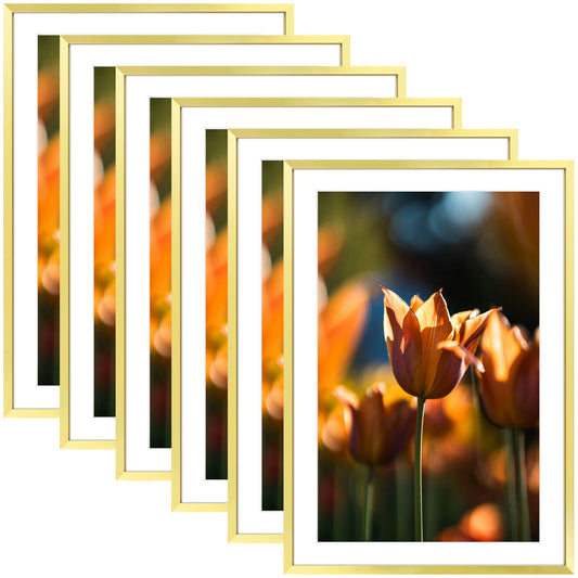 13x19 Picture Frame For 11x17 Photo With White Mat and Plexiglass (6 Pcs per Box) Gold