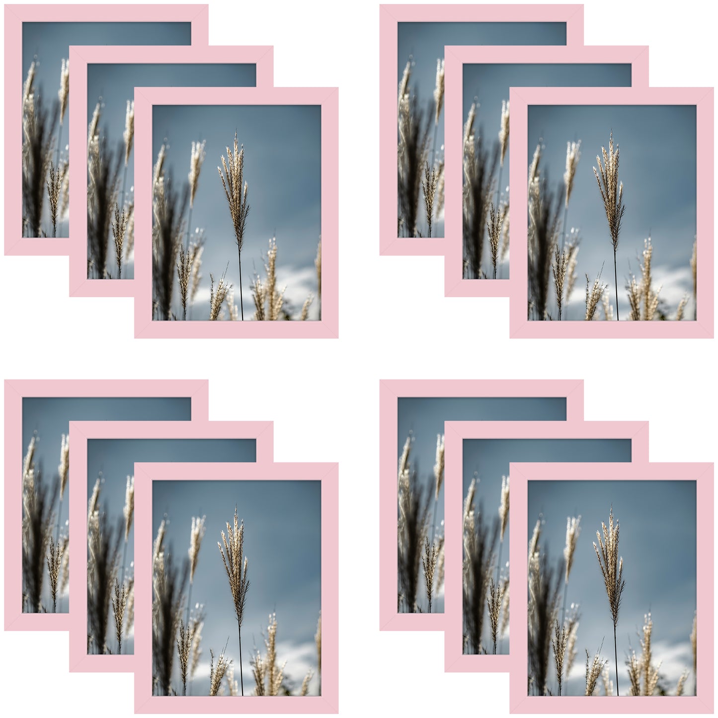 Clearance 8x10 Picture Frame with Real Glass (12 Pcs Per Box)